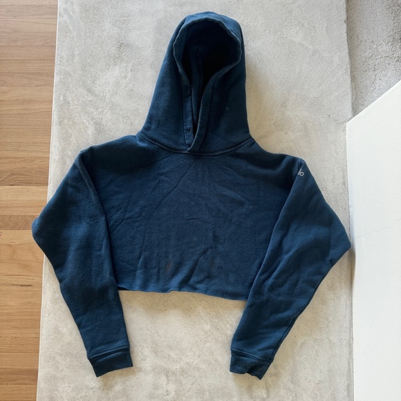 Alo Cropped Hoodie - Picture 1 of 5